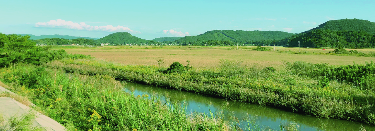 川内川